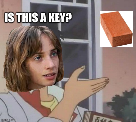 Is This A Pigeon | IS THIS A KEY? | image tagged in memes,is this a pigeon,robin,stranger things,good | made w/ Imgflip meme maker