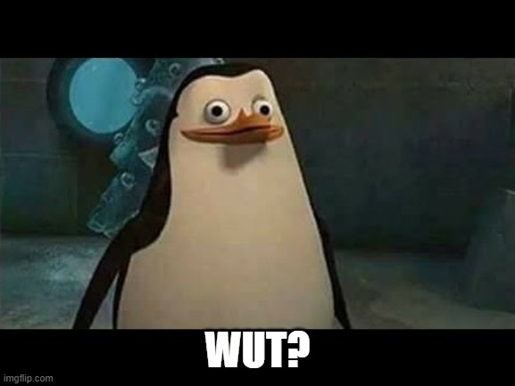 Confused penguin | WUT? | image tagged in confused penguin | made w/ Imgflip meme maker