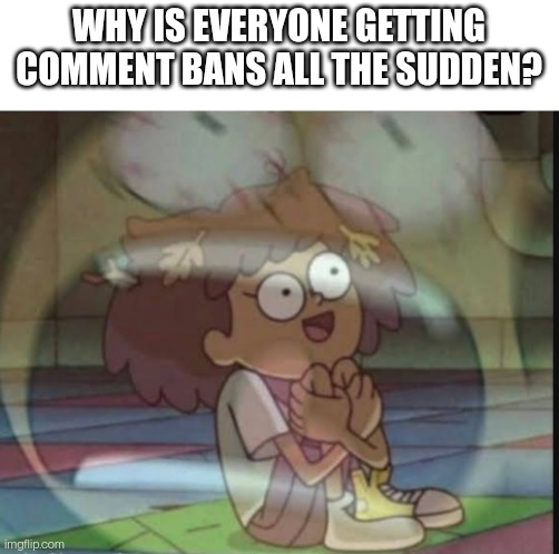 Am I next? | WHY IS EVERYONE GETTING COMMENT BANS ALL THE SUDDEN? | image tagged in internal screaming amphibia | made w/ Imgflip meme maker