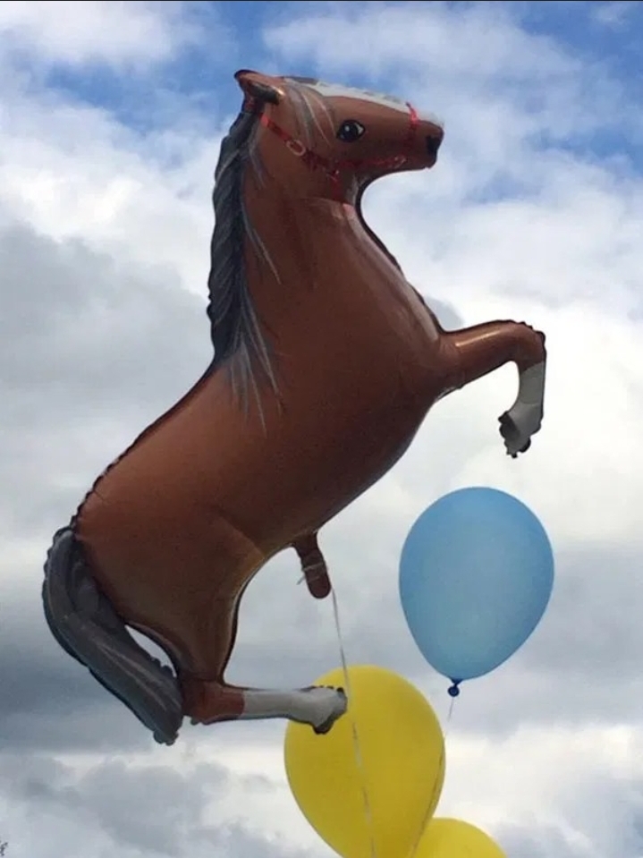 Sussy horse balloon Blank Meme Template