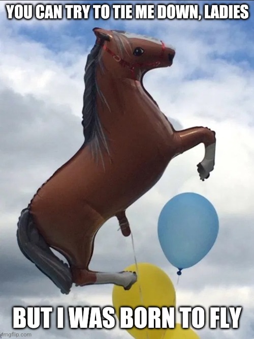 Can't keep a good man down | YOU CAN TRY TO TIE ME DOWN, LADIES; BUT I WAS BORN TO FLY | image tagged in sussy horse balloon | made w/ Imgflip meme maker