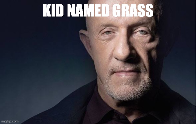 Kid Named | KID NAMED GRASS | image tagged in kid named | made w/ Imgflip meme maker