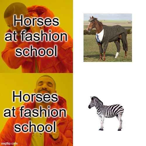 We all know it's true, horses. You don't need to hide it any longer. | Horses at fashion school; Horses at fashion school | image tagged in memes,drake hotline bling | made w/ Imgflip meme maker