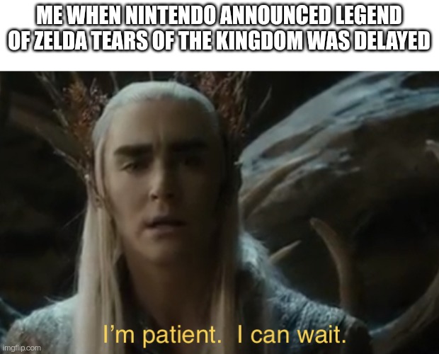 I’m patient I can wait | ME WHEN NINTENDO ANNOUNCED LEGEND OF ZELDA TEARS OF THE KINGDOM WAS DELAYED | image tagged in i m patient i can wait | made w/ Imgflip meme maker