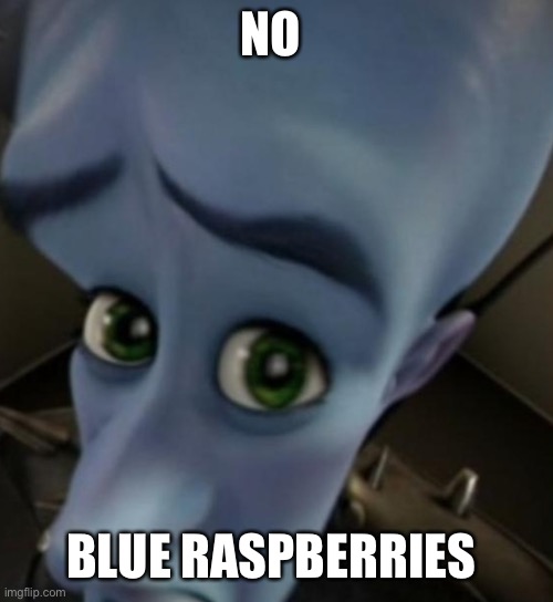 Megamind no bitches | NO BLUE RASPBERRIES | image tagged in megamind no bitches | made w/ Imgflip meme maker