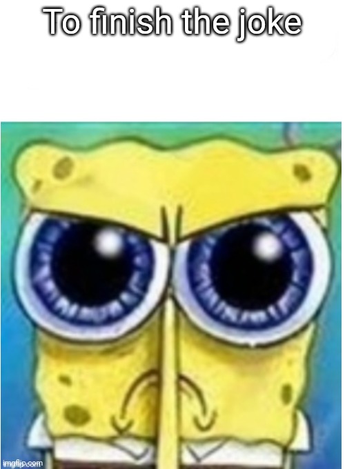 Angry spongebob blank | To finish the joke | image tagged in angry spongebob blank | made w/ Imgflip meme maker