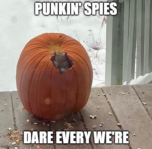 Punkin' Spies | PUNKIN' SPIES; DARE EVERY WE'RE | image tagged in satire,humor,pumpkin spice,poor grammar | made w/ Imgflip meme maker