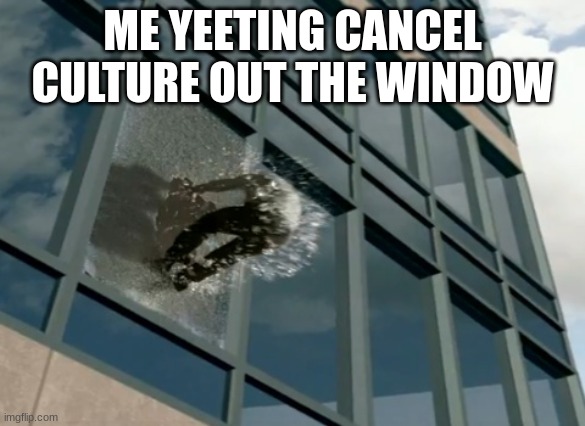 Thrown out of the window | ME YEETING CANCEL CULTURE OUT THE WINDOW | image tagged in thrown out of the window | made w/ Imgflip meme maker
