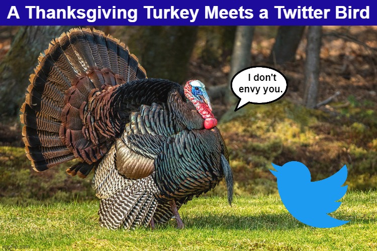 A Thanksgiving Turkey Meets a Twitter Bird | image tagged in thanksgiving,turkey,twitter,twitter bird,elon musk,memes | made w/ Imgflip meme maker