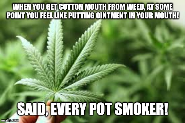 marijuana | WHEN YOU GET COTTON MOUTH FROM WEED, AT SOME POINT YOU FEEL LIKE PUTTING OINTMENT IN YOUR MOUTH! SAID, EVERY POT SMOKER! | image tagged in marijuana | made w/ Imgflip meme maker