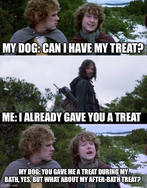 Pippin Second Breakfast | MY DOG: CAN I HAVE MY TREAT? ME: I ALREADY GAVE YOU A TREAT; MY DOG: YOU GAVE ME A TREAT DURING MY BATH, YES, BUT WHAT ABOUT MY AFTER-BATH TREAT? | image tagged in pippin second breakfast,lotrmemes | made w/ Imgflip meme maker