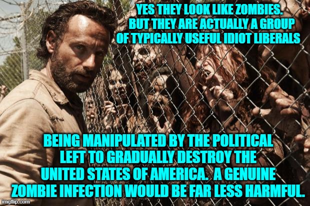 Sadly . . . this is the absolute truth. | YES THEY LOOK LIKE ZOMBIES.   BUT THEY ARE ACTUALLY A GROUP OF TYPICALLY USEFUL IDIOT LIBERALS; BEING MANIPULATED BY THE POLITICAL LEFT TO GRADUALLY DESTROY THE UNITED STATES OF AMERICA.  A GENUINE ZOMBIE INFECTION WOULD BE FAR LESS HARMFUL. | image tagged in zombies | made w/ Imgflip meme maker