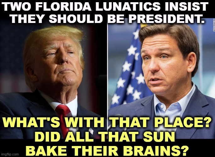 Crazy People. | TWO FLORIDA LUNATICS INSIST 
THEY SHOULD BE PRESIDENT. WHAT'S WITH THAT PLACE?
DID ALL THAT SUN 
BAKE THEIR BRAINS? | image tagged in trump,desantis,crazy,florida,lunatic,president | made w/ Imgflip meme maker