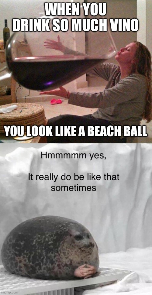 When you get fat from alcohol | WHEN YOU DRINK SO MUCH VINO; YOU LOOK LIKE A BEACH BALL | image tagged in wine,seal boi hmm yes it really do be like that sometimes,vino,fat,beach | made w/ Imgflip meme maker