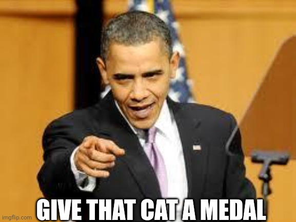 Give that man a medal | GIVE THAT CAT A MEDAL | image tagged in give that man a medal | made w/ Imgflip meme maker