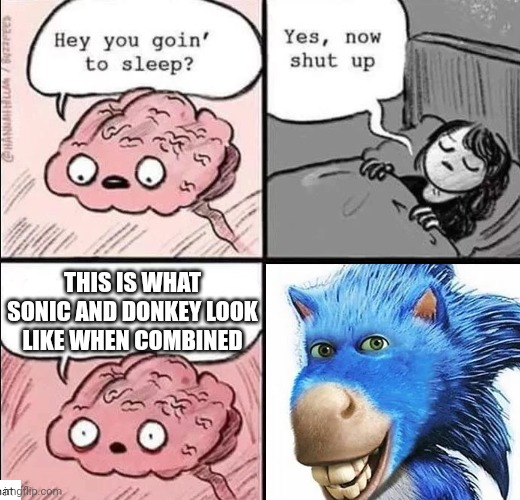 Donkey and sonic |  THIS IS WHAT SONIC AND DONKEY LOOK LIKE WHEN COMBINED | image tagged in shrek,sonic the hedgehog | made w/ Imgflip meme maker