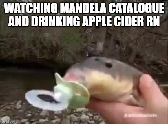 WATCHING MANDELA CATALOGUE AND DRINKING APPLE CIDER RN | made w/ Imgflip meme maker