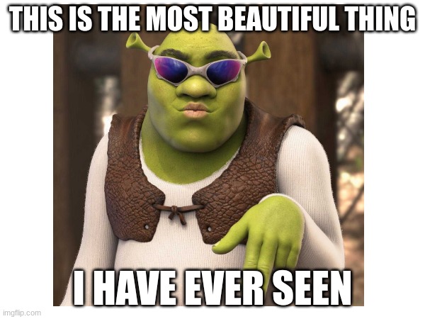 Swag Shrek | THIS IS THE MOST BEAUTIFUL THING; I HAVE EVER SEEN | image tagged in shrek,swag | made w/ Imgflip meme maker