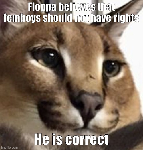 This is a joke, for those who do not realize that | Floppa believes that femboys should not have rights; He is correct | image tagged in floppa | made w/ Imgflip meme maker