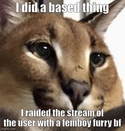 Heheheha | I did a based thing; I raided the stream of the user with a femboy furry bf | image tagged in floppa | made w/ Imgflip meme maker