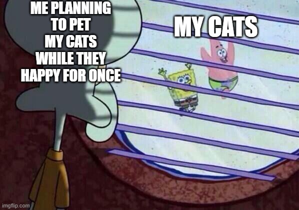 ha | ME PLANNING TO PET MY CATS WHILE THEY HAPPY FOR ONCE; MY CATS | image tagged in squidward window | made w/ Imgflip meme maker