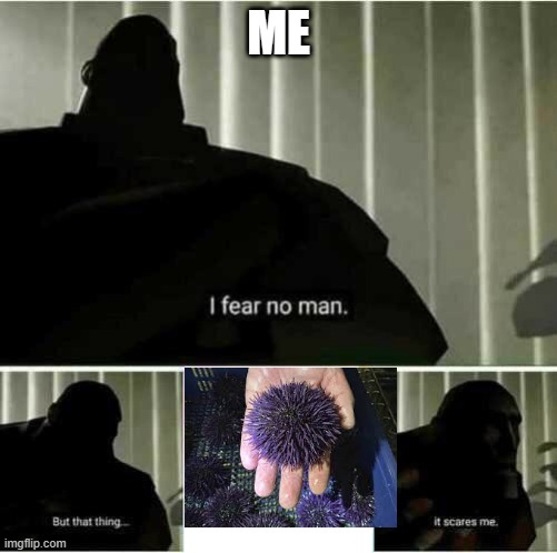 yeah thats me | ME | image tagged in i fear no man | made w/ Imgflip meme maker