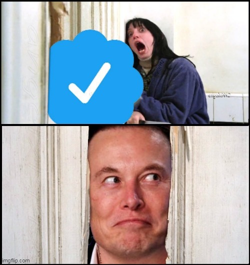 image tagged in the shining,elon musk buying twitter,wendy torrance,horror movies,elon musk,shelly duvall | made w/ Imgflip meme maker