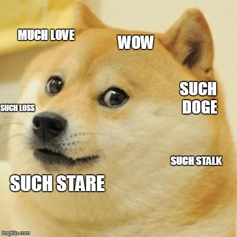 Such Stalk Such Doge | WOW SUCH STARE MUCH LOVE SUCH STALK SUCH LOSS SUCH DOGE | image tagged in memes,doge | made w/ Imgflip meme maker