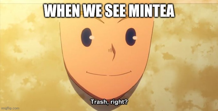 Trash, right? | WHEN WE SEE MINTEA | image tagged in trash right | made w/ Imgflip meme maker