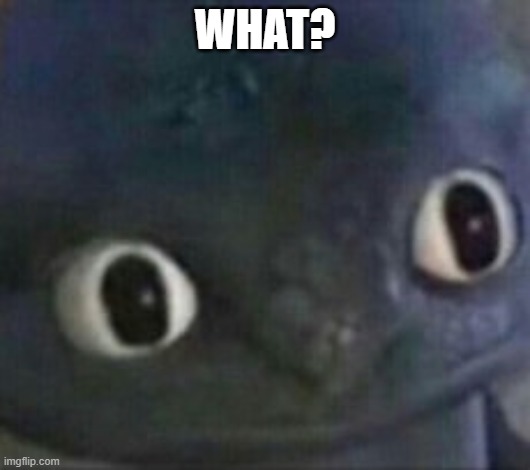 me learning aything then forgets it all on a test | WHAT? | image tagged in toothless shocked | made w/ Imgflip meme maker