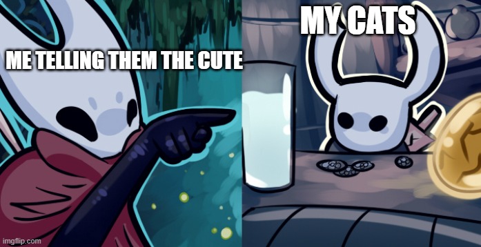 memes | MY CATS; ME TELLING THEM THE CUTE | image tagged in hollow knight woman screaming | made w/ Imgflip meme maker