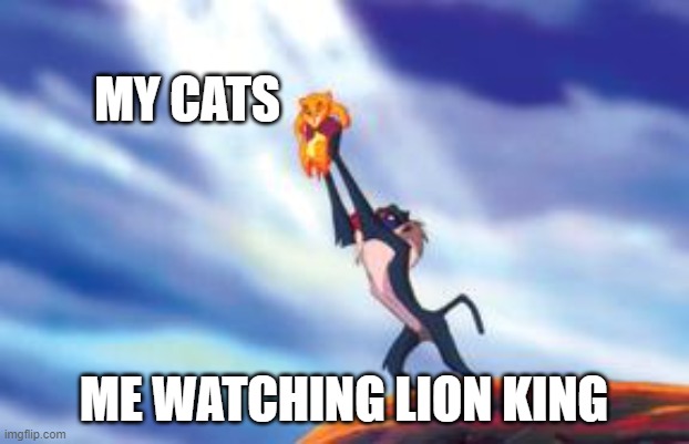 memes | MY CATS; ME WATCHING LION KING | image tagged in lion king cub | made w/ Imgflip meme maker