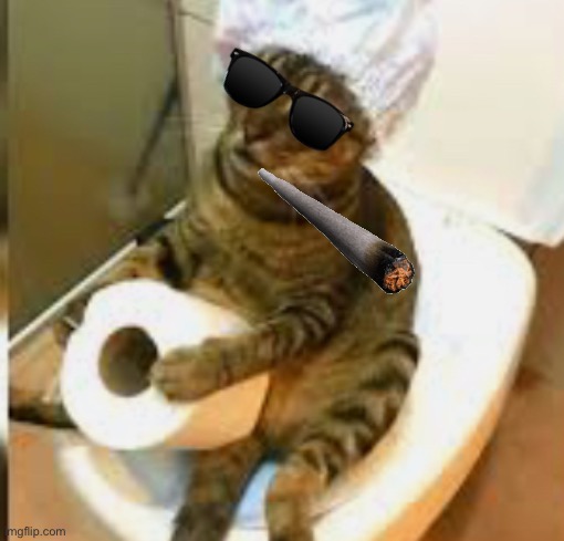 Cats WC | image tagged in cats,memes | made w/ Imgflip meme maker