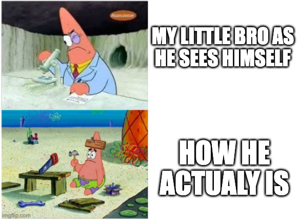 My brother | MY LITTLE BRO AS HE SEES HIMSELF; HOW HE ACTUALY IS | image tagged in smart vs stupid patrick,sorry not sorry | made w/ Imgflip meme maker
