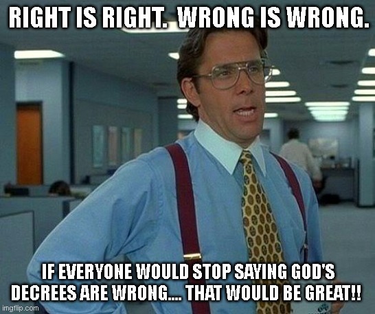 Right and Wrong | RIGHT IS RIGHT.  WRONG IS WRONG. IF EVERYONE WOULD STOP SAYING GOD'S DECREES ARE WRONG.... THAT WOULD BE GREAT!! | image tagged in memes,that would be great | made w/ Imgflip meme maker