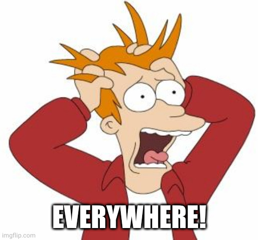Fry Freaking Out | EVERYWHERE! | image tagged in fry freaking out | made w/ Imgflip meme maker