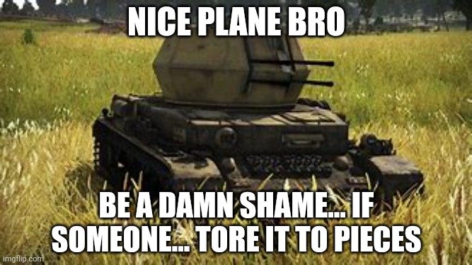 Also, can I be mod? | NICE PLANE BRO; BE A DAMN SHAME... IF SOMEONE... TORE IT TO PIECES | image tagged in wirbelwind | made w/ Imgflip meme maker