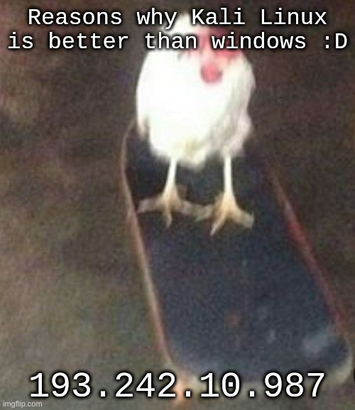 so cool!!!1!1! | Reasons why Kali Linux is better than windows :D; 193.242.10.987 | image tagged in dog on skateboard | made w/ Imgflip meme maker