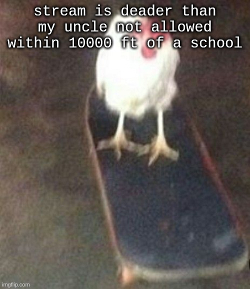 Dog on skateboard | stream is deader than my uncle not allowed within 10000 ft of a school | image tagged in dog on skateboard | made w/ Imgflip meme maker