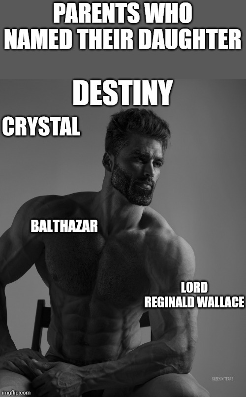 BALTHAZAR; LORD REGINALD WALLACE | image tagged in name | made w/ Imgflip meme maker