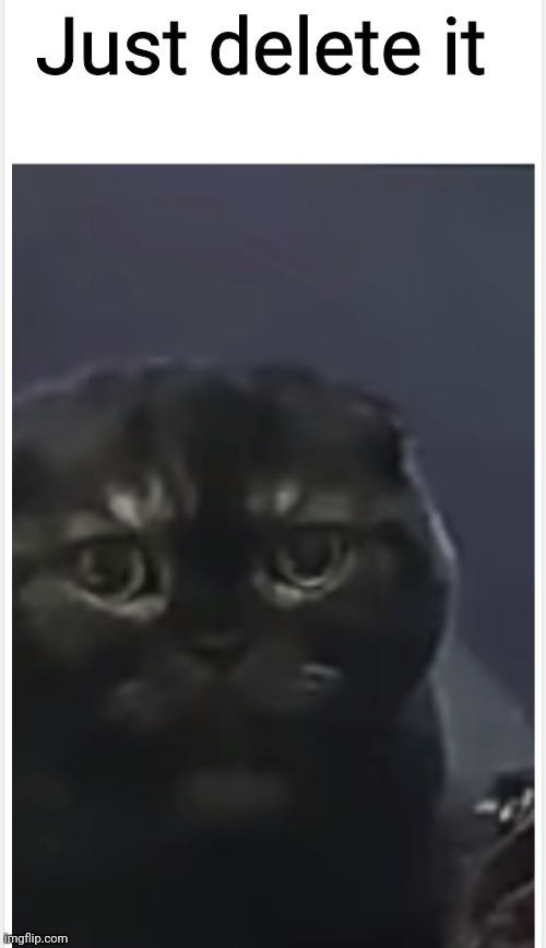Debt Cat with Caption | Just delete it | image tagged in debt cat with caption | made w/ Imgflip meme maker