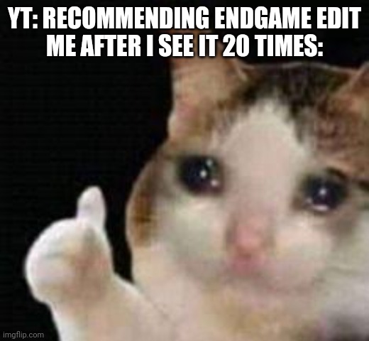 Approved crying cat | YT: RECOMMENDING ENDGAME EDIT
ME AFTER I SEE IT 20 TIMES: | image tagged in approved crying cat,marvel,avengers endgame,endgame,sad,true story | made w/ Imgflip meme maker