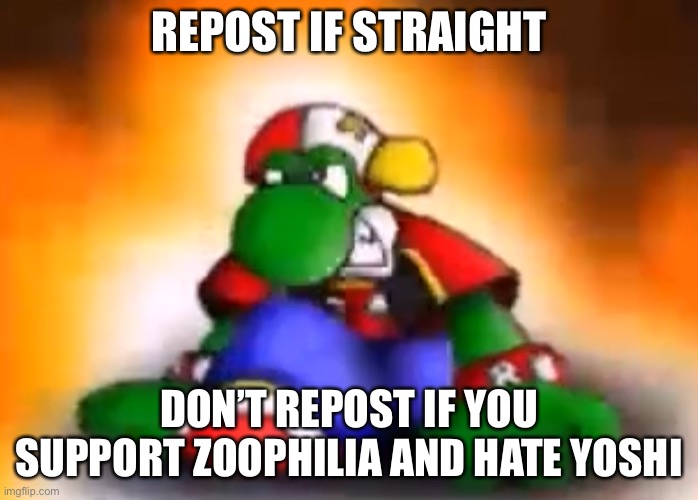 Gangster yoshi | REPOST IF STRAIGHT; DON’T REPOST IF YOU SUPPORT ZOOPHILIA AND HATE YOSHI | image tagged in gangster yoshi | made w/ Imgflip meme maker