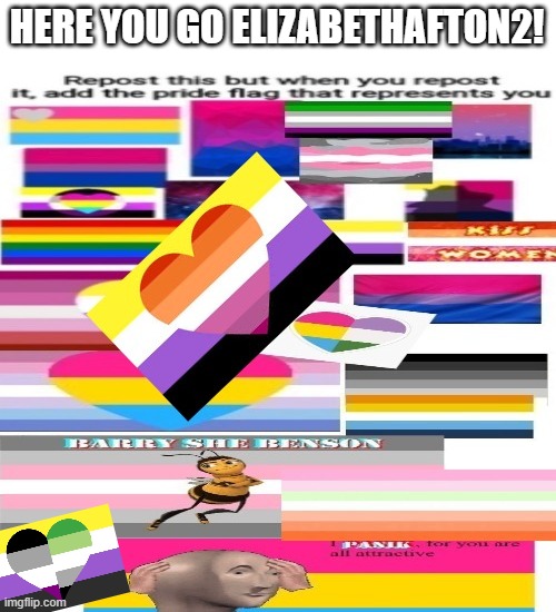 I decided to participate! | HERE YOU GO ELIZABETHAFTON2! | image tagged in memes,repost,lgbtq,pride,non binary,aroace | made w/ Imgflip meme maker