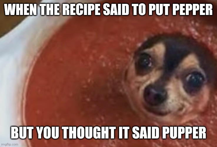 Pupper | WHEN THE RECIPE SAID TO PUT PEPPER; BUT YOU THOUGHT IT SAID PUPPER | image tagged in dog sauce,pupper,sauce | made w/ Imgflip meme maker