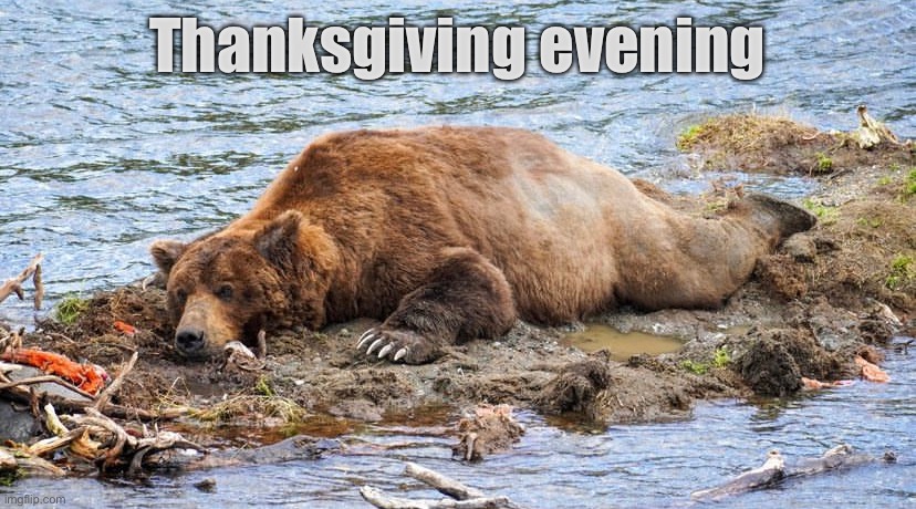 Thanksgiving evening | Thanksgiving evening | image tagged in thanksgiving,thanksgiving dinner,happy thanksgiving | made w/ Imgflip meme maker
