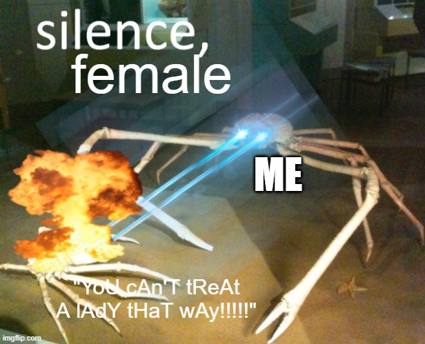 Equal Rights, Equal Fights. | female; ME; "YoU cAn'T tReAt A lAdY tHaT wAy!!!!!" | image tagged in silence crab | made w/ Imgflip meme maker