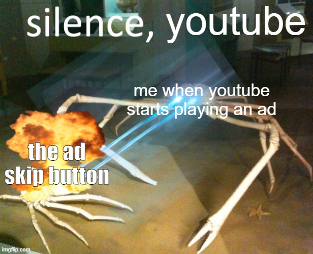 silence, youtube | youtube; me when youtube starts playing an ad; the ad skip button | image tagged in silence crab,relatable,youtube ads,ads | made w/ Imgflip meme maker