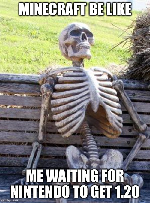 Waiting Skeleton Meme | MINECRAFT BE LIKE; ME WAITING FOR NINTENDO TO GET 1.20 | image tagged in memes,waiting skeleton | made w/ Imgflip meme maker