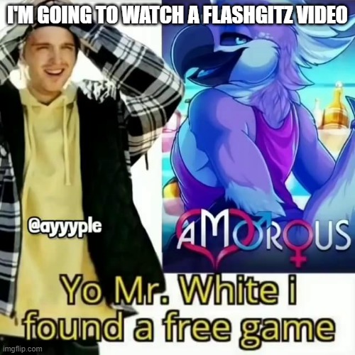 Yo Mr. White i found a free game | I'M GOING TO WATCH A FLASHGITZ VIDEO | image tagged in yo mr white i found a free game | made w/ Imgflip meme maker